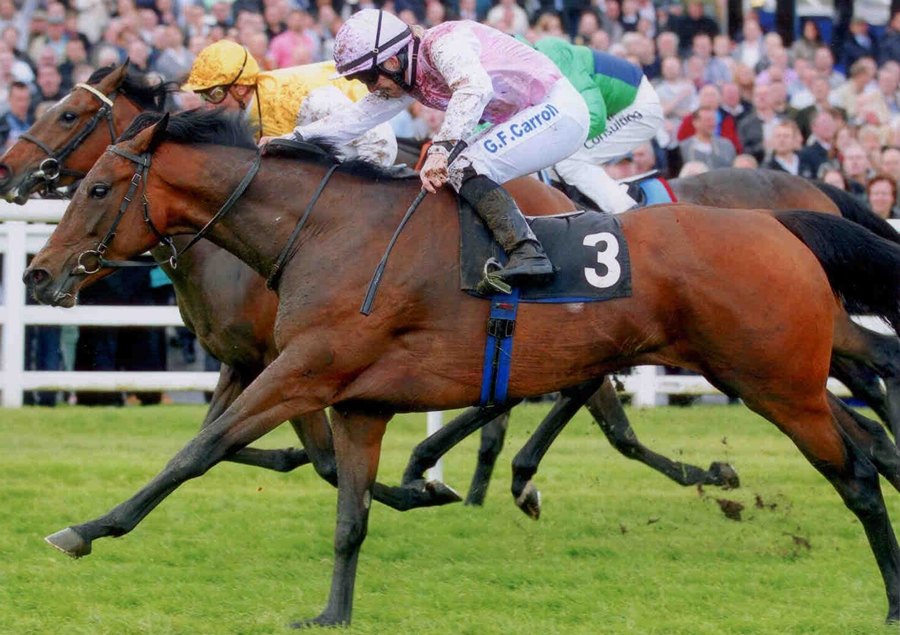 Lily's Angel - Winning the Chartwell Fillies Stks (Gr3) - Lingfield 11th May
